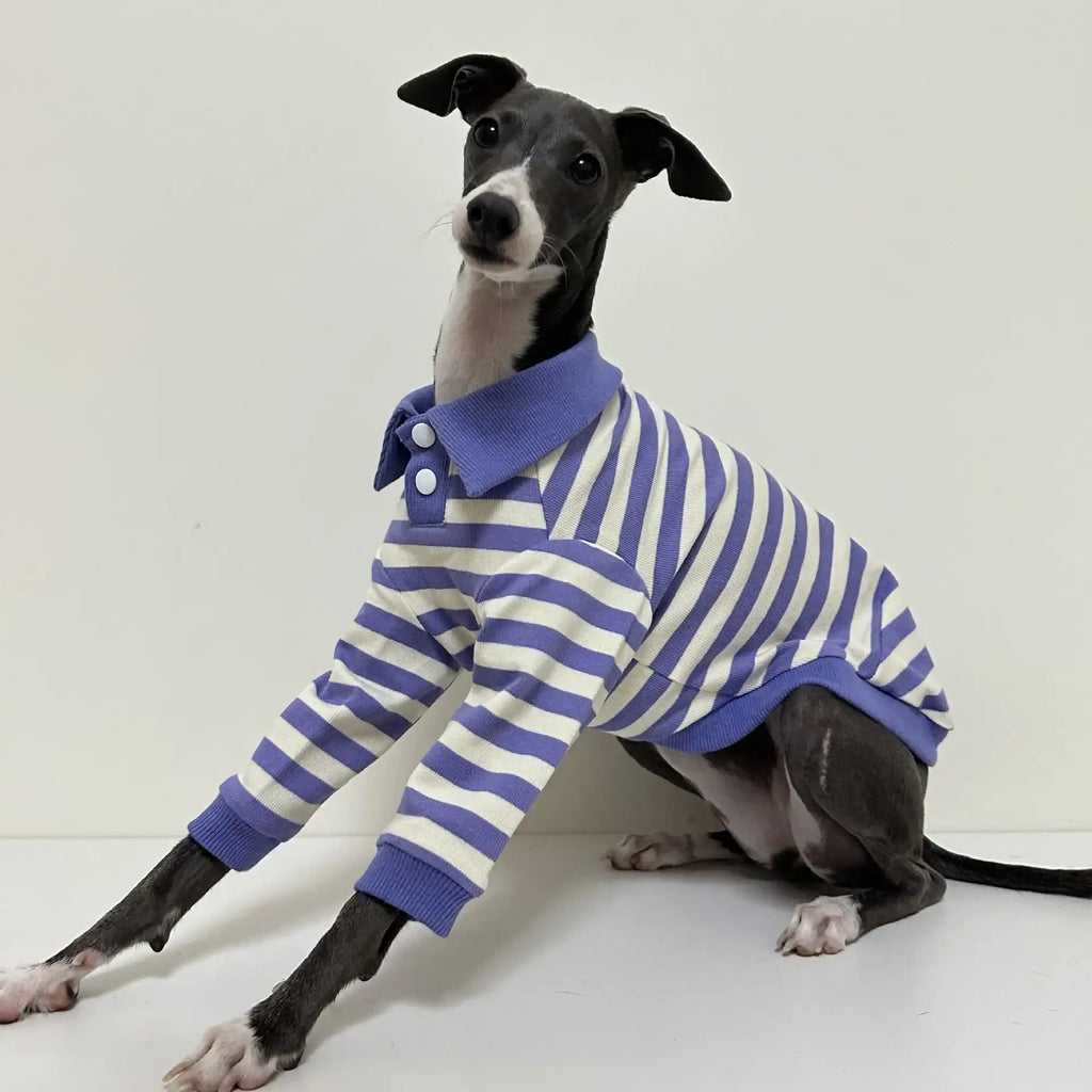 Polo Rayé En Coton Pour Chien Lévrier Et Whippet