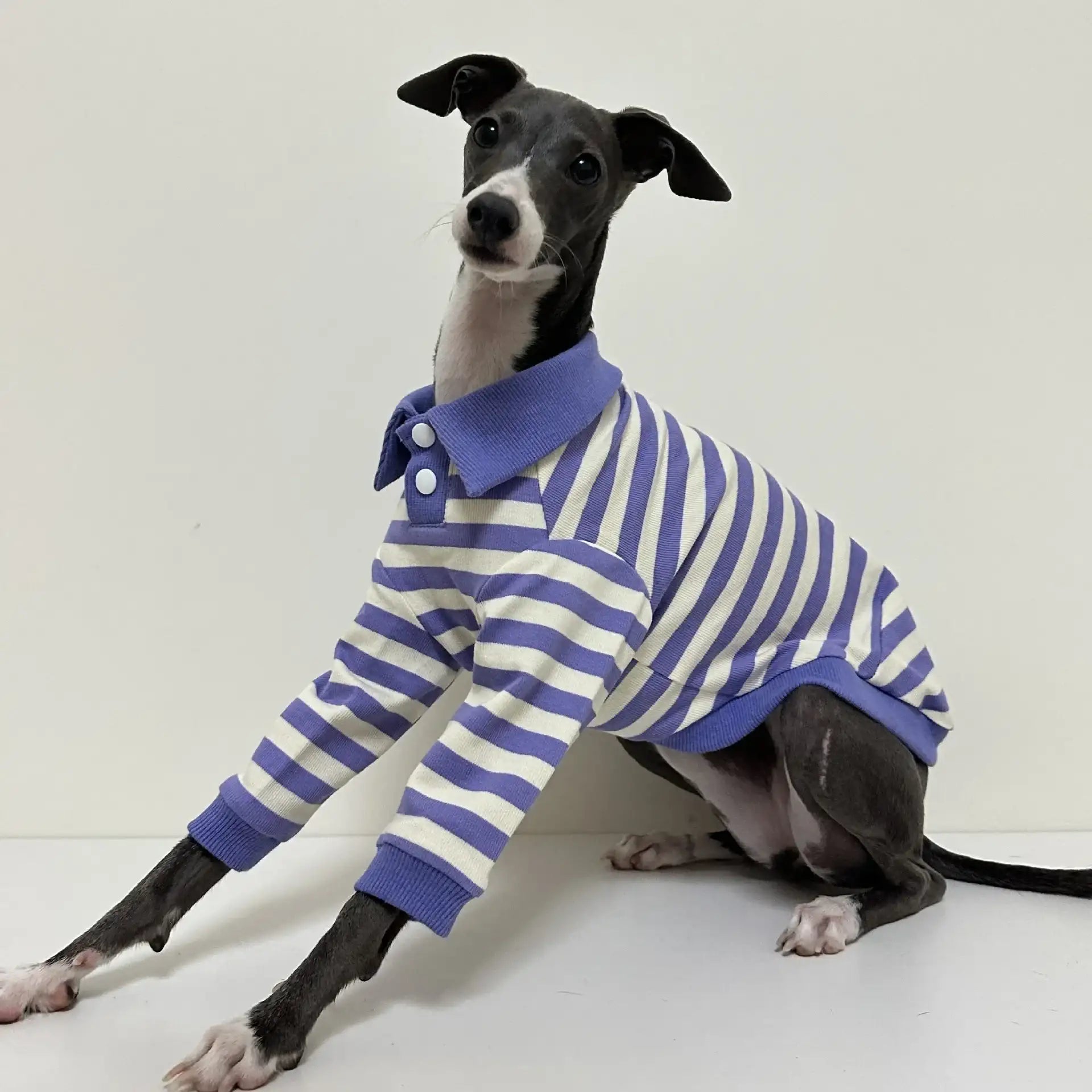 Polo Rayé En Coton Pour Chien Lévrier Et Whippet