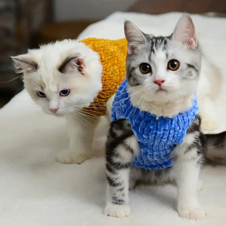 Pull à Fourrure pour Chat