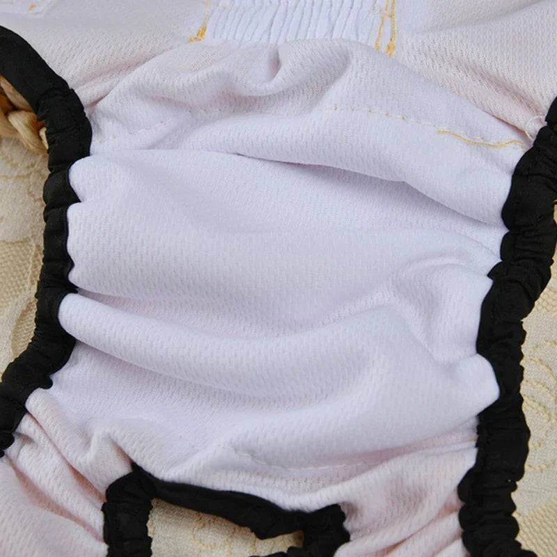 Couche Lavable pour Chien Incontinent