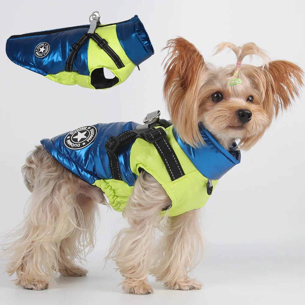 Manteau Yorkshire Terrier / Petit Chien