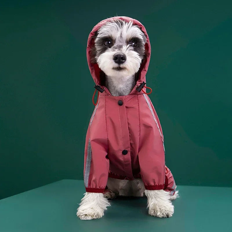 Imperméable Chien avec Capuche