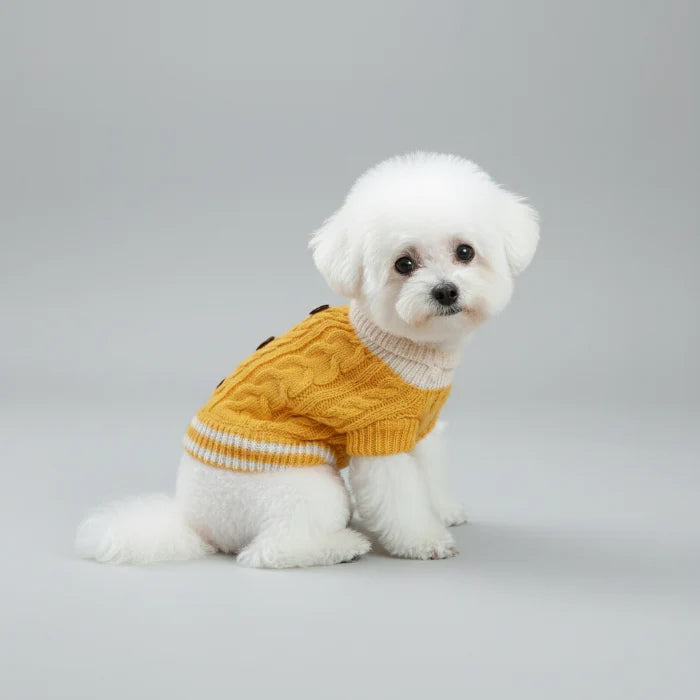 Pull Boutons Torsades Jaune Pour Chien