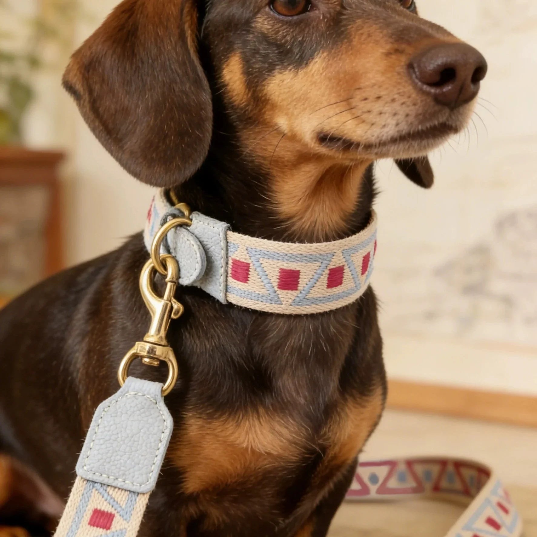 Collier Et Laisse Pour Chien En Cuir Véritable Style Bohème