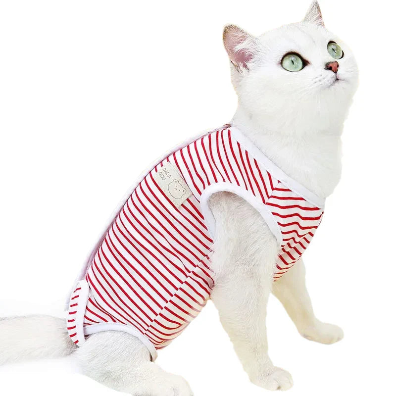 Pyjama Rayures pour Chat