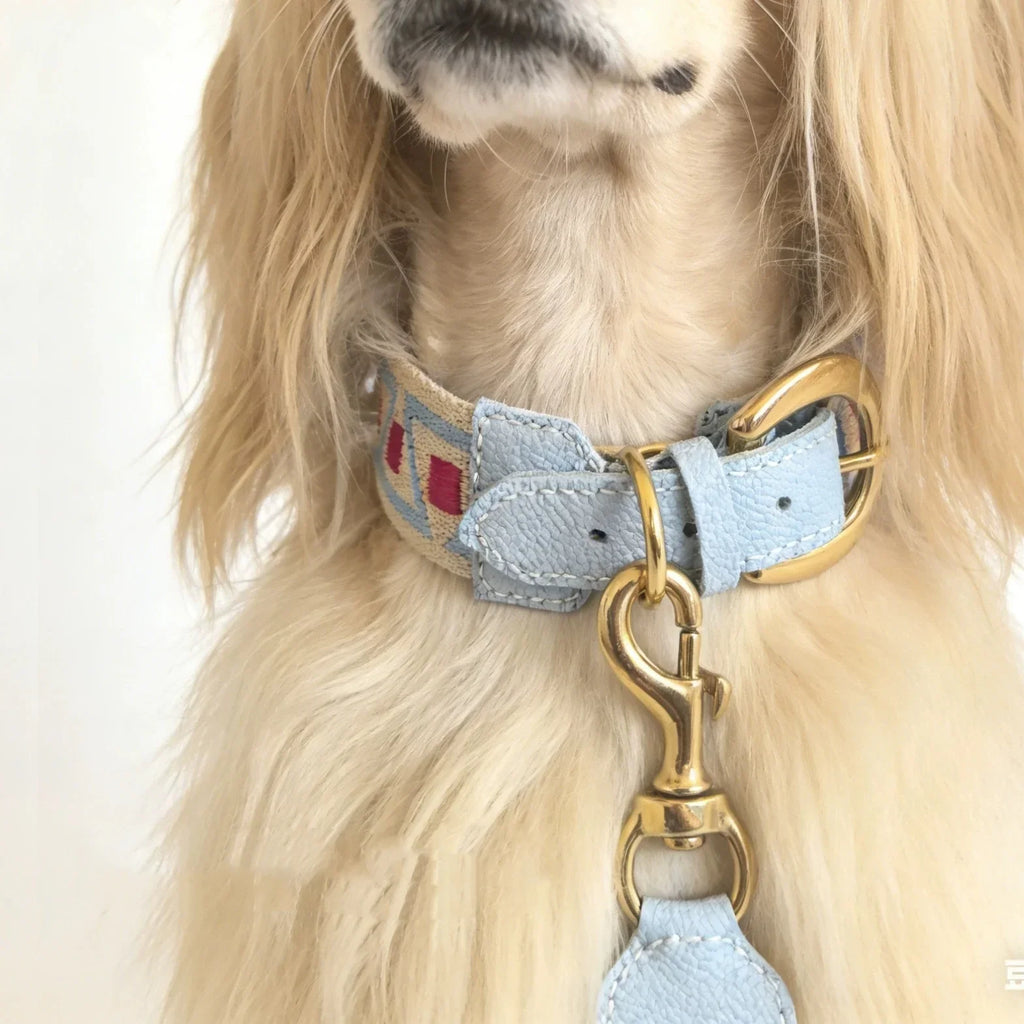 Collier Et Laisse Pour Chien En Cuir Véritable Style Bohème