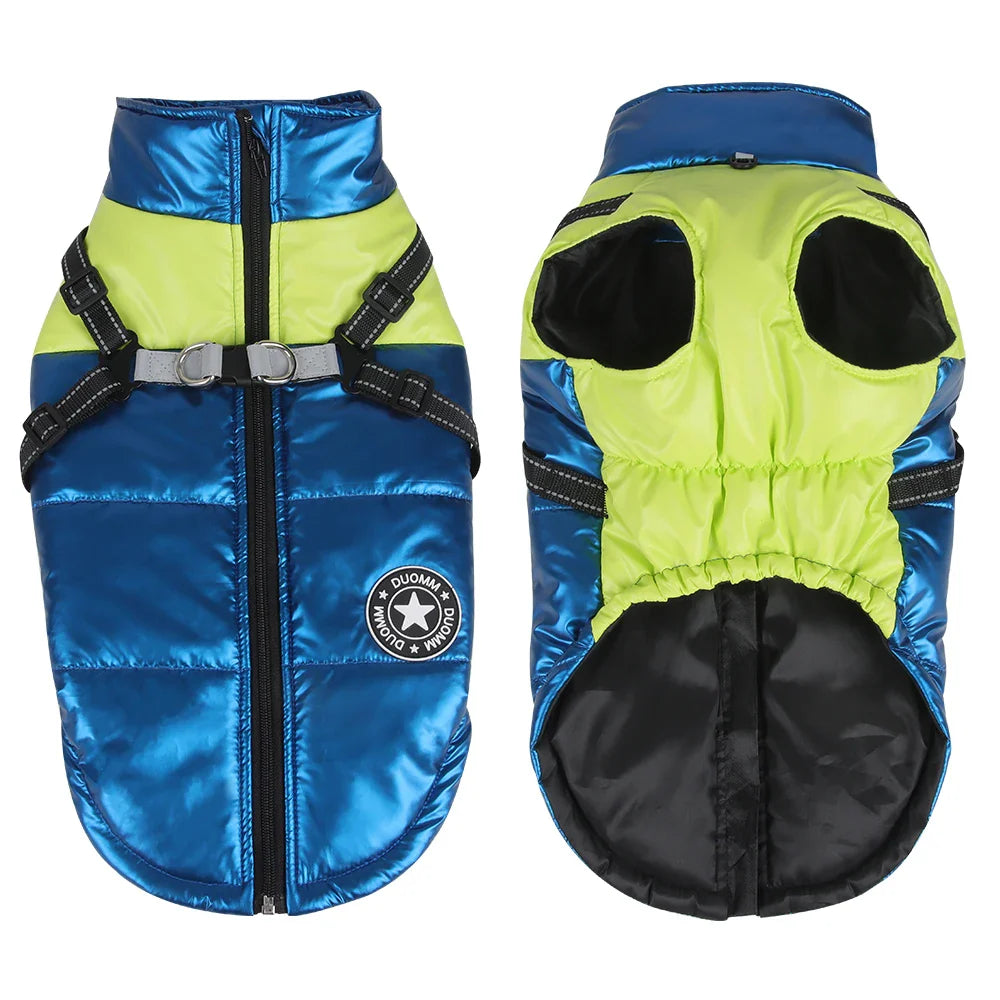 Manteau Yorkshire Terrier / Petit Chien