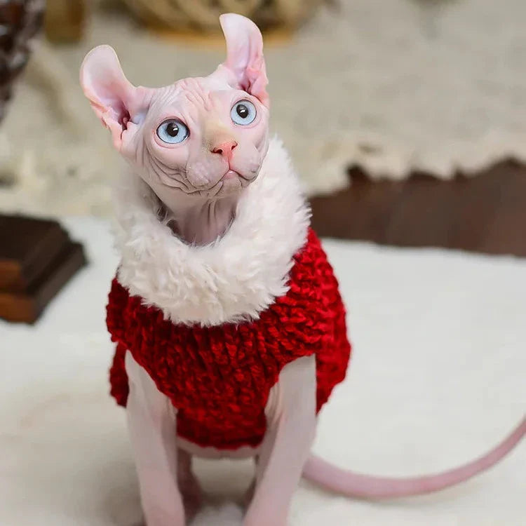 Pull à Fourrure pour Chat