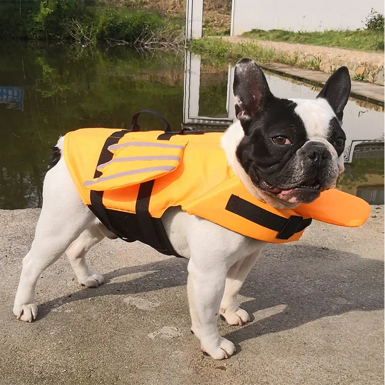 Harnais Flottant Chien