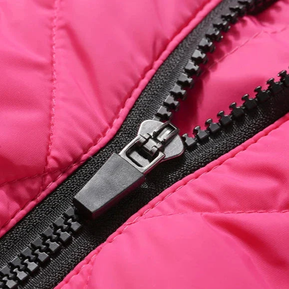 Manteau Chien Harnais Intégré
