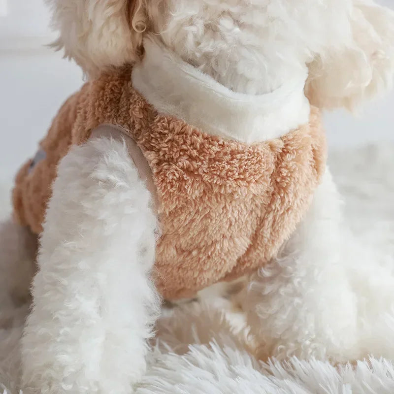 Pull Chaud Chien