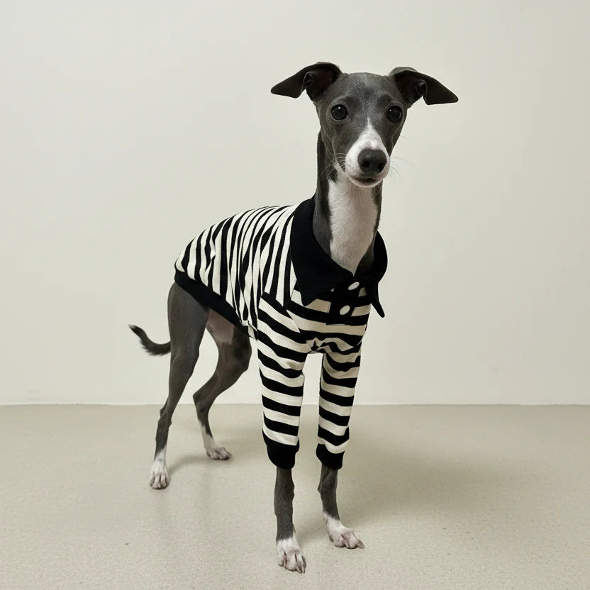 Polo En Coton Rayé Pour Lévrier Et Whippet