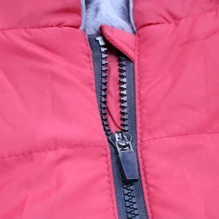 Veste Fourrure Chien