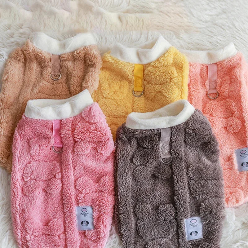 Pull Chaud Chien