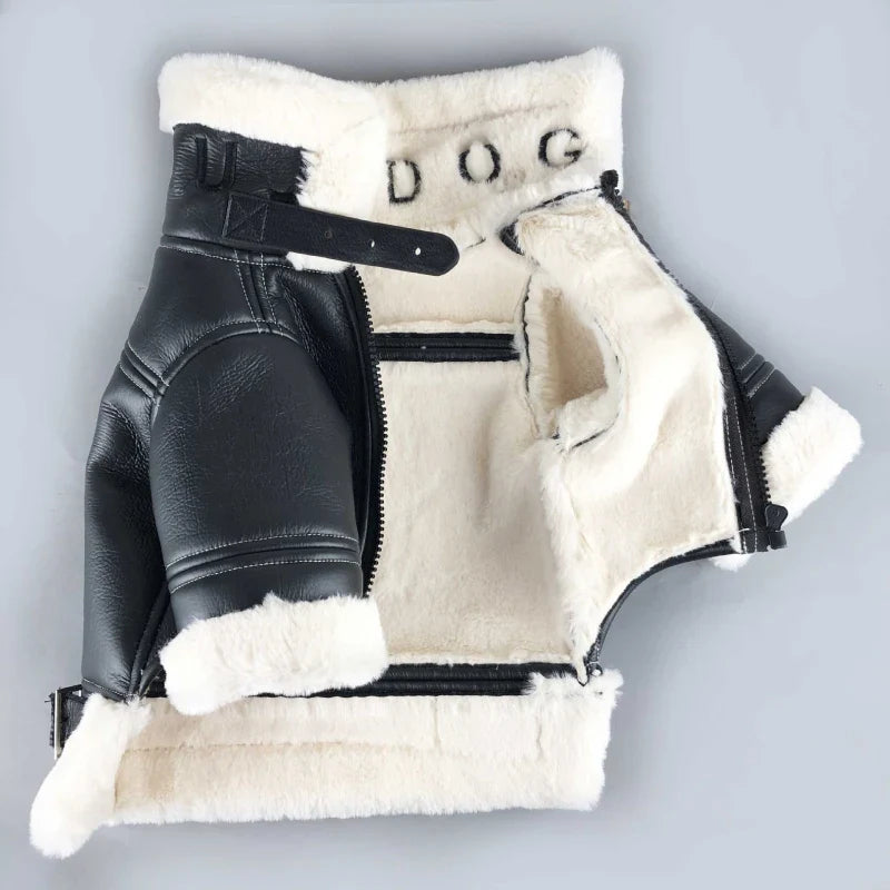 Blouson Aviateur pour Chien