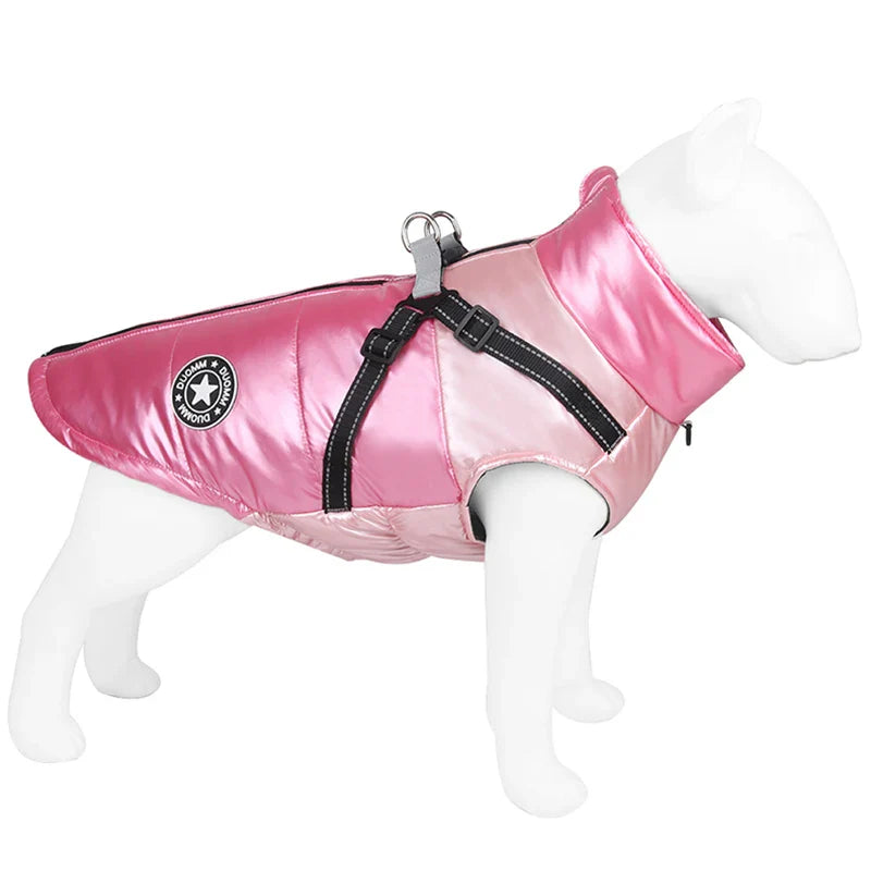 manteau hiver pour jack russel