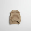 Pull Rayé A Col Haut Pour Petit Chien