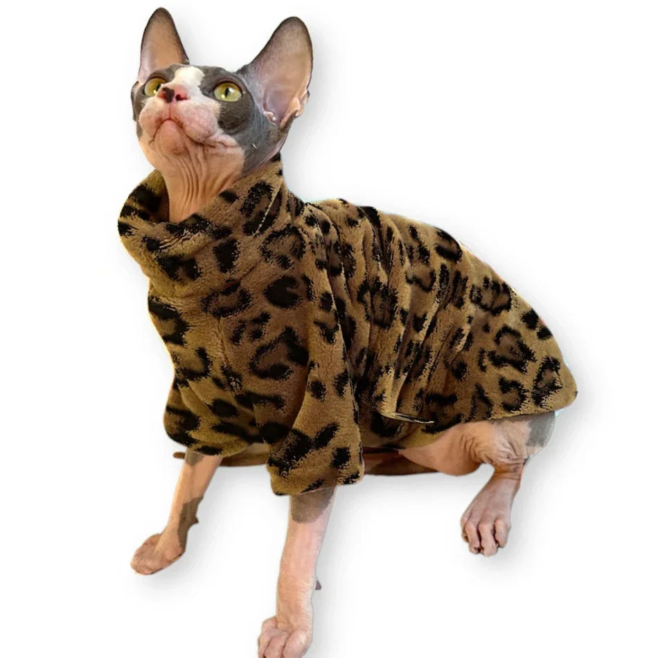 Pull Léopard / Zèbre pour Chat