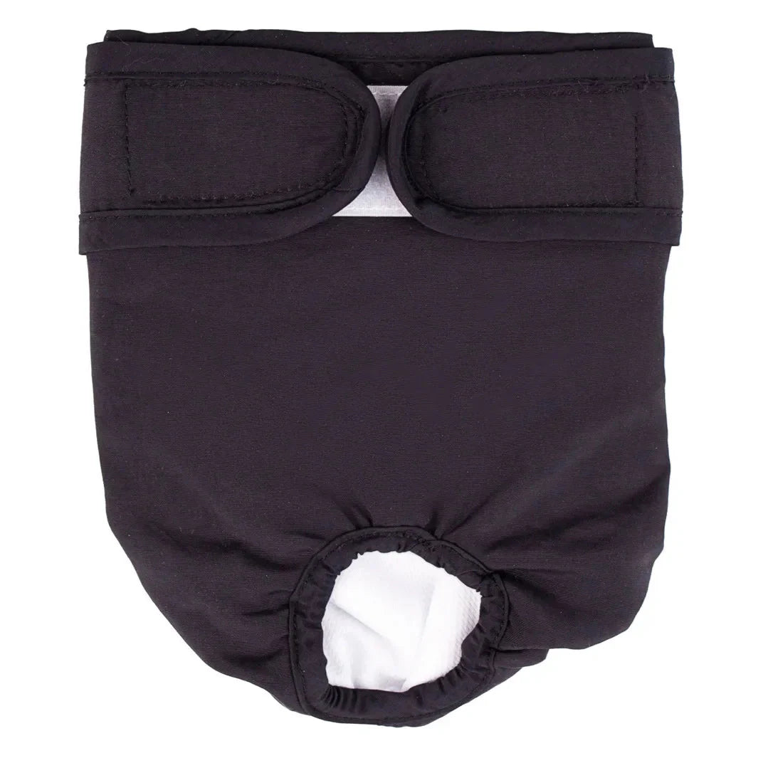 Couche pour Chien Règle / Incontinence