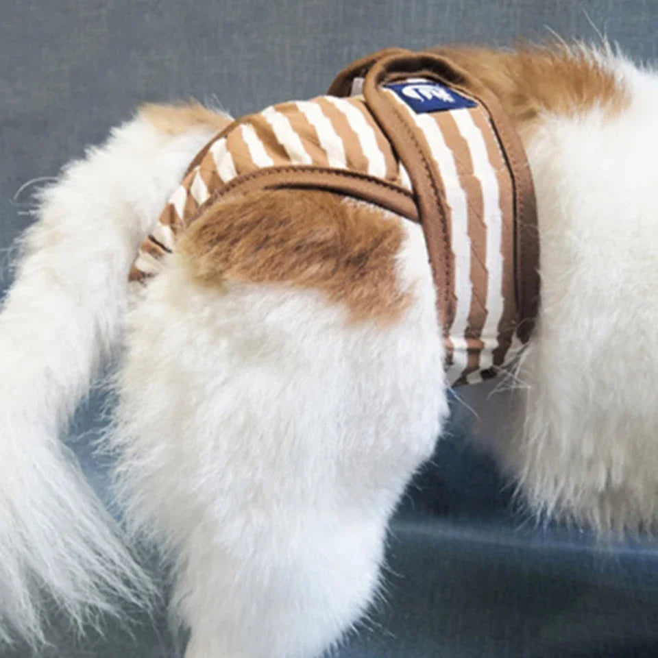 Culotte Menstruelle / Incontinence Chien