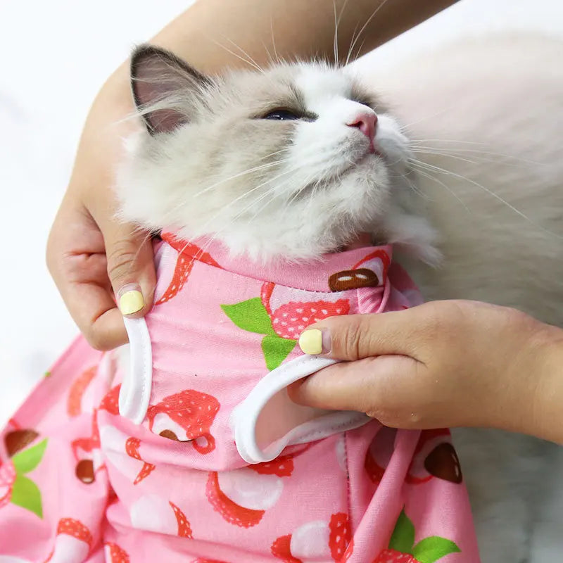 Body Anti Léchage Chat