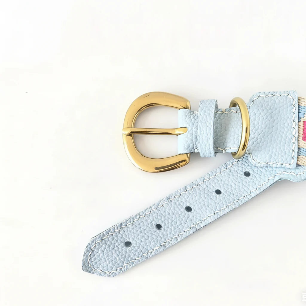 Collier Et Laisse Pour Chien En Cuir Véritable Style Bohème