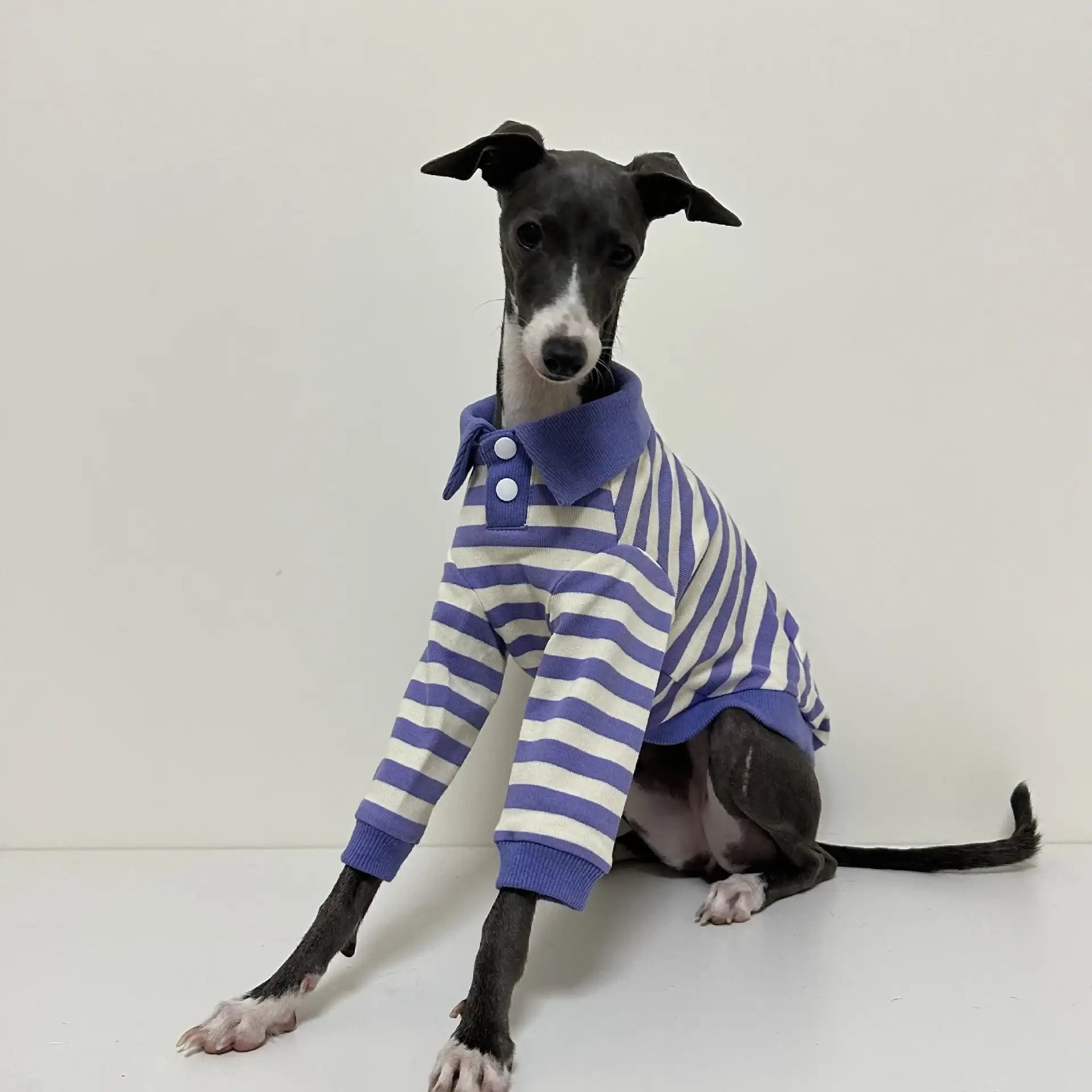 Polo Rayé En Coton Pour Chien Lévrier Et Whippet