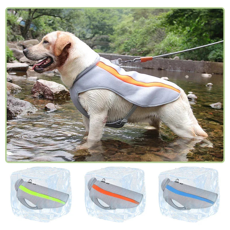 Gilet Veste Fraîcheur pour Chien