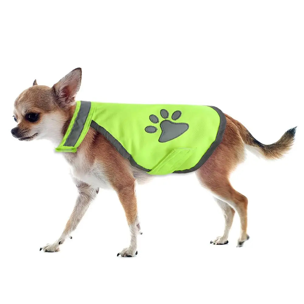 Veste Réfléchissante Chien