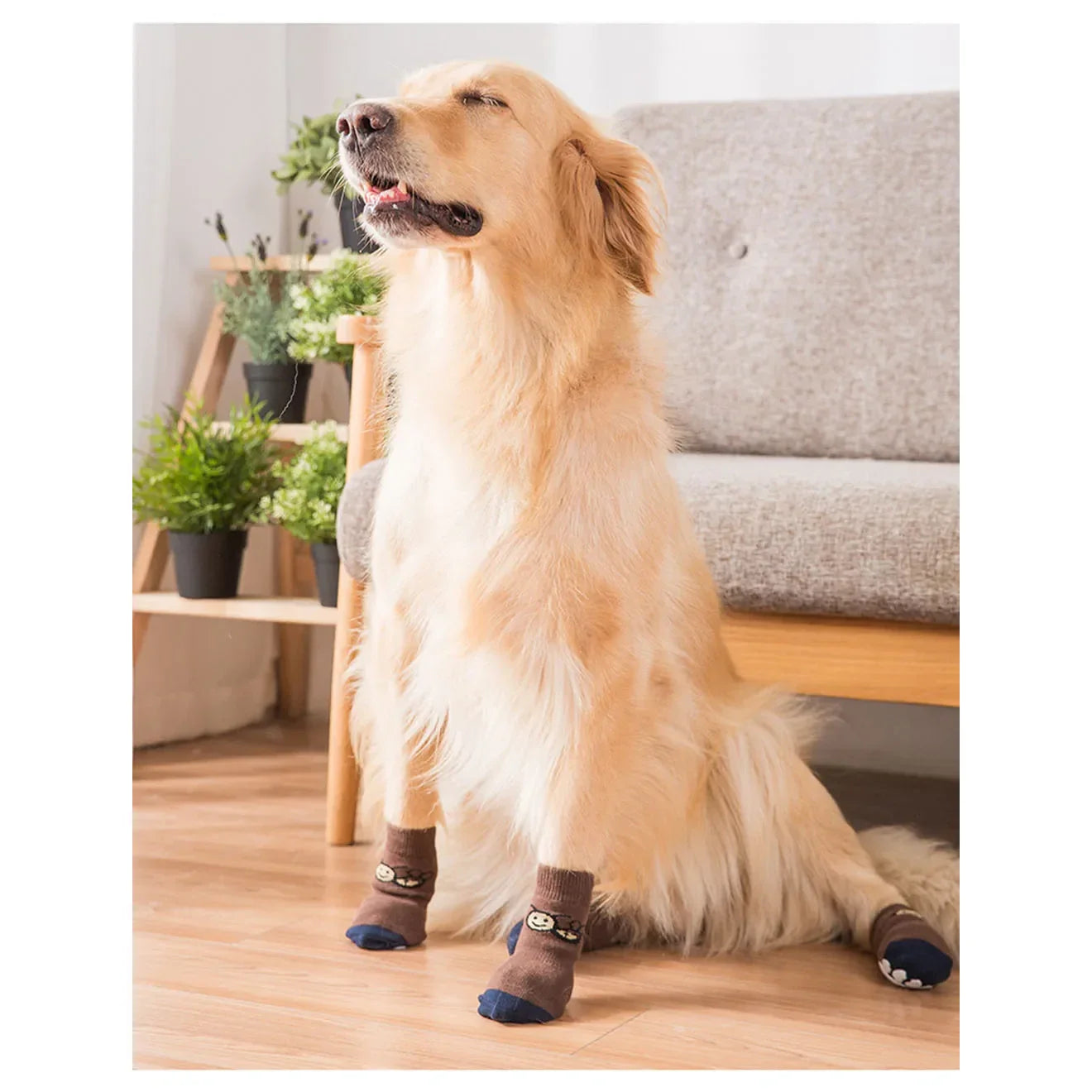 Chaussons Chaussettes Grand Chien