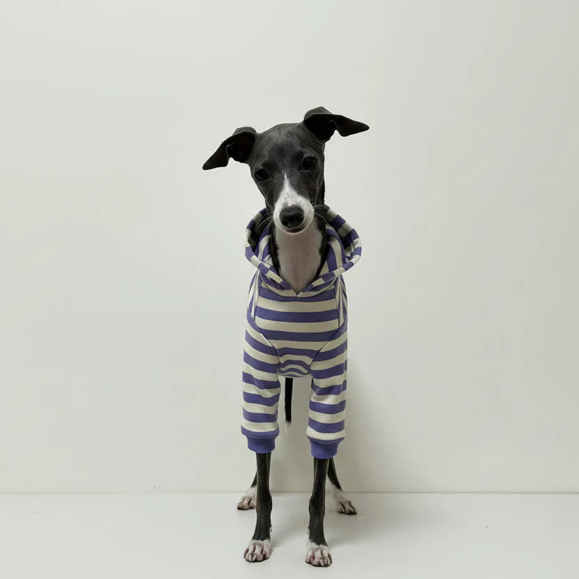 Polo Rayé En Coton Pour Chien Lévrier Et Whippet
