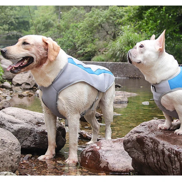 Gilet Veste Fraîcheur pour Chien