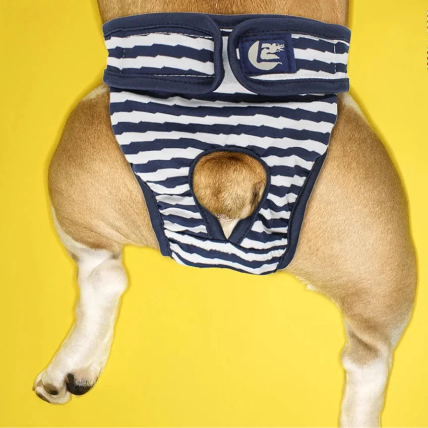 Culotte Menstruelle / Incontinence Chien