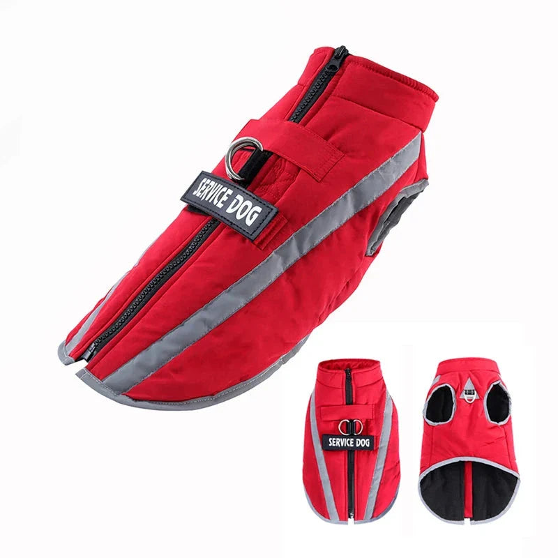 Veste Chien Hiver