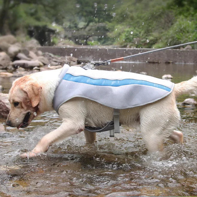 Gilet Veste Fraîcheur pour Chien