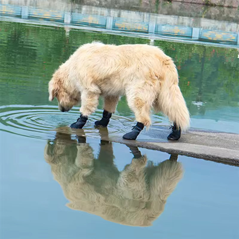 Chaussette Antidérapante Chien