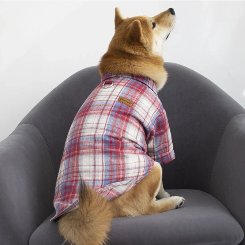 Chemise Ecossaise pour Chien