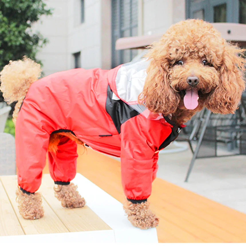 Manteau Intégral Chien