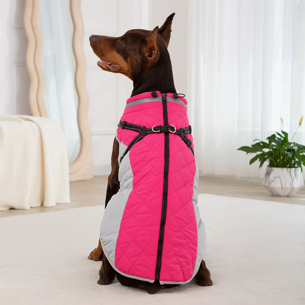 Manteau Chien Harnais Intégré