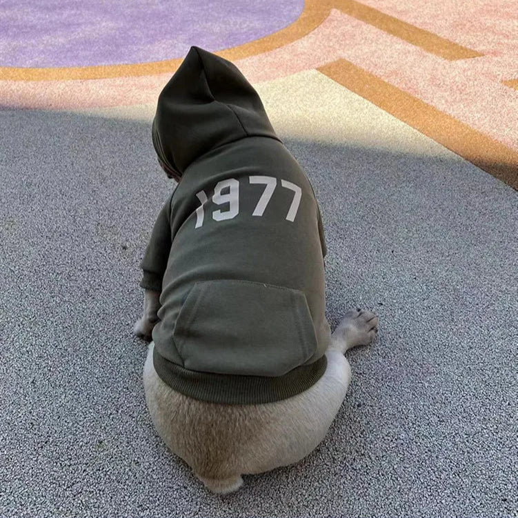 Hoodie pour Chien et Maitre
