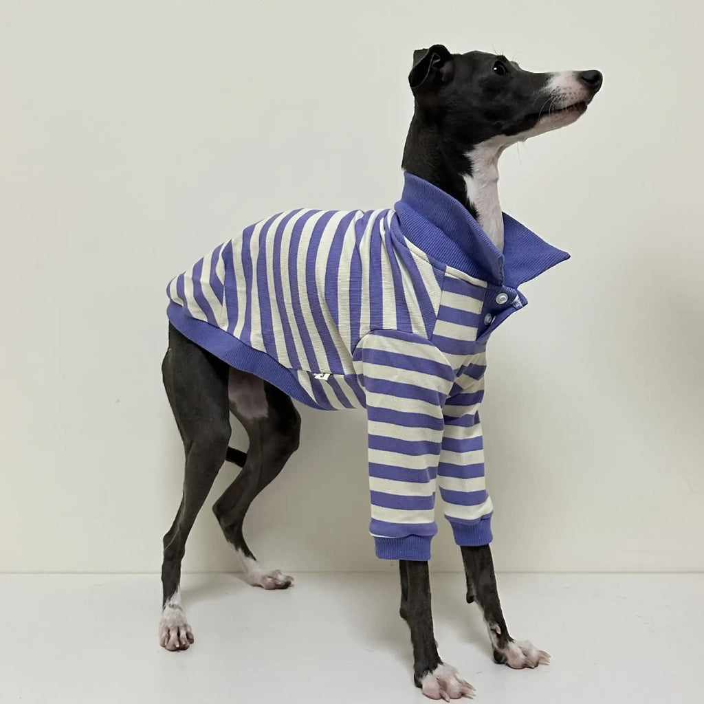 Polo Rayé En Coton Pour Chien Lévrier Et Whippet