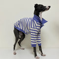 Polo Rayé En Coton Pour Chien Lévrier Et Whippet