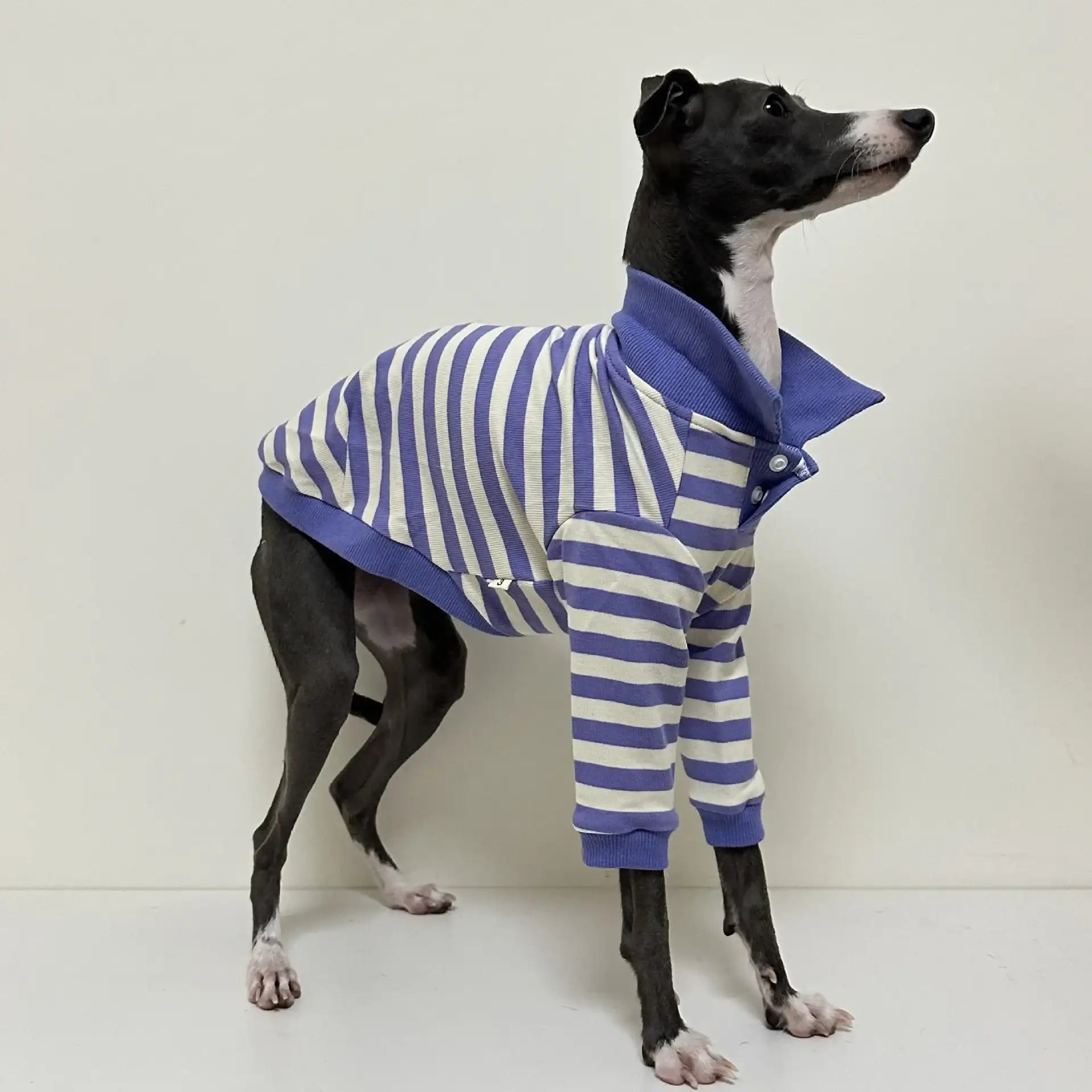 Polo Rayé En Coton Pour Chien Lévrier Et Whippet
