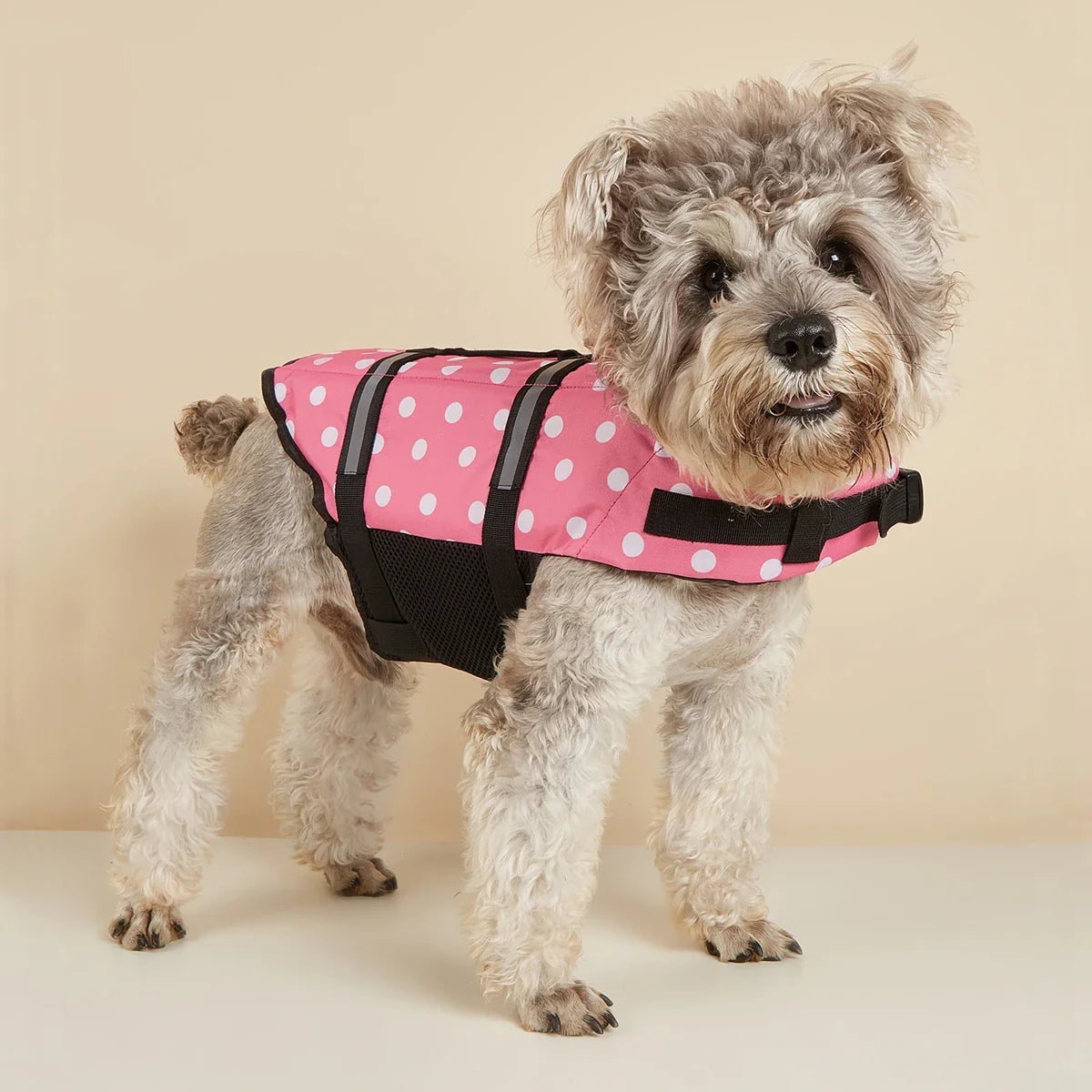 Gilet Sauvetage Chien Eau - XXS à XXL
