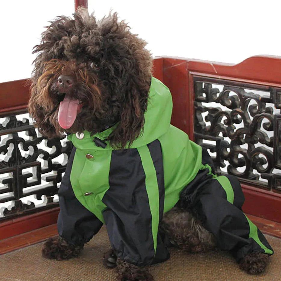 Manteau Chien Bull Terrier