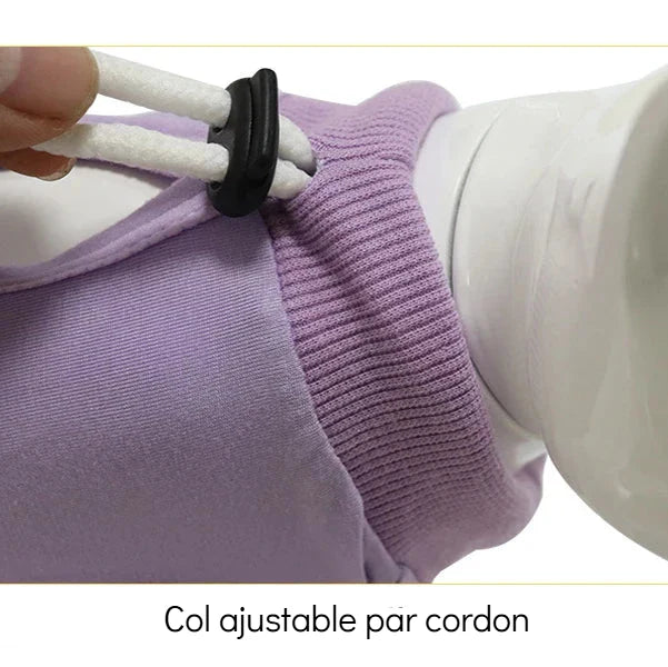 Body Post Opératoire Chat