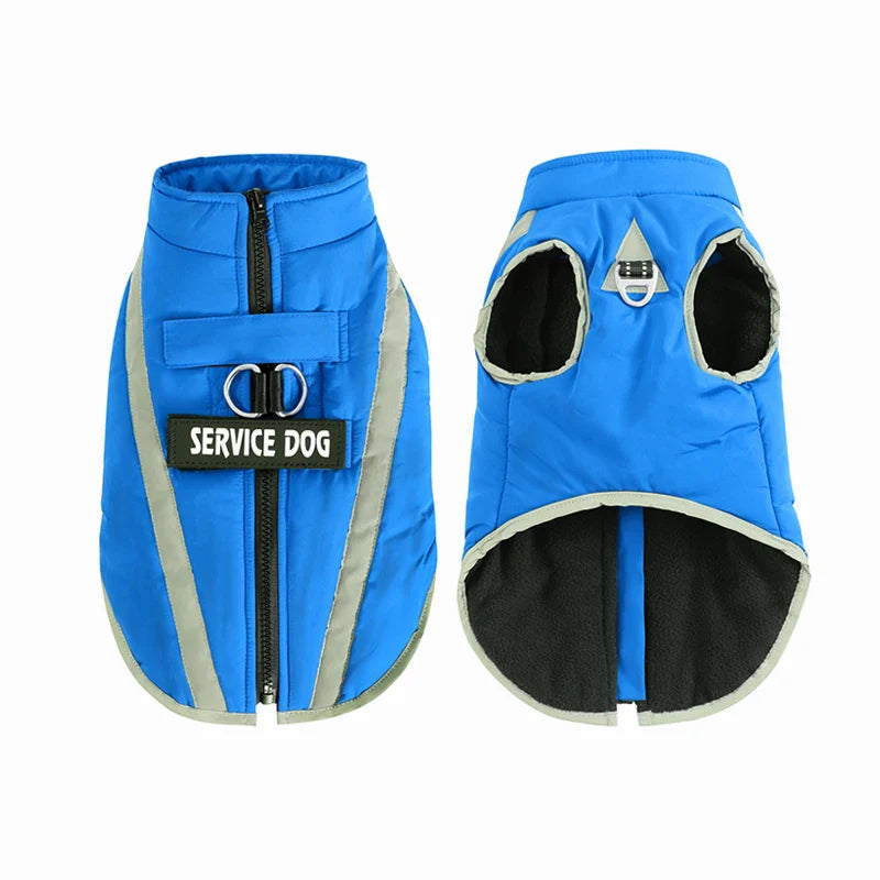 Veste Chien Hiver