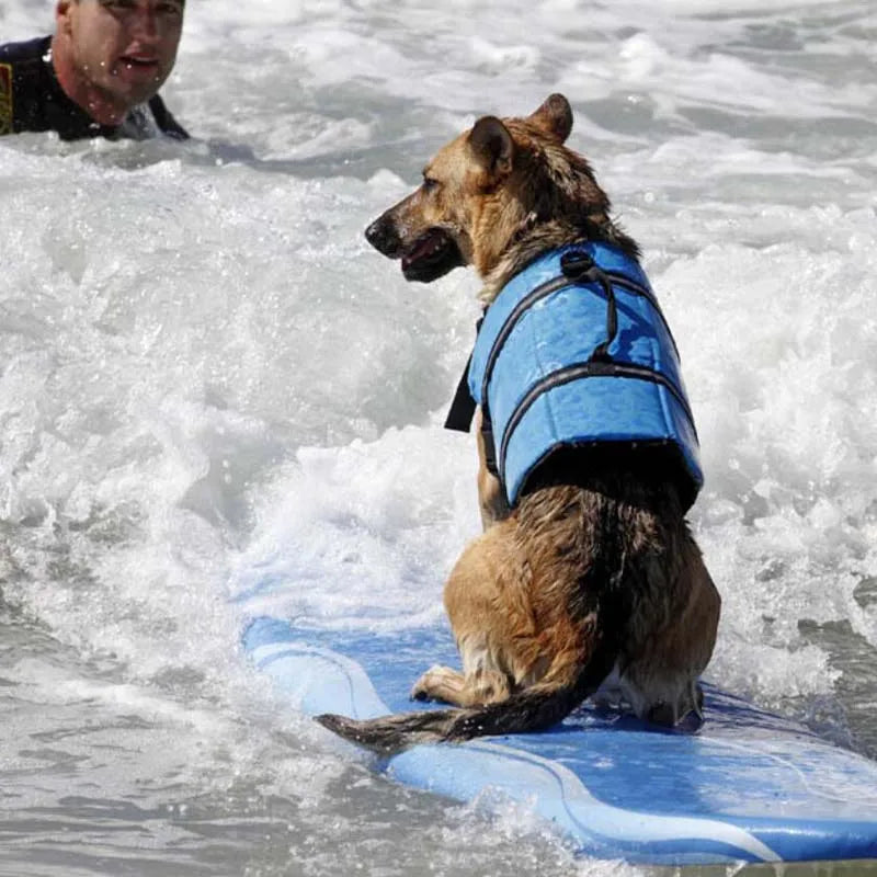 Gilet de Natation Chien (Motifs)