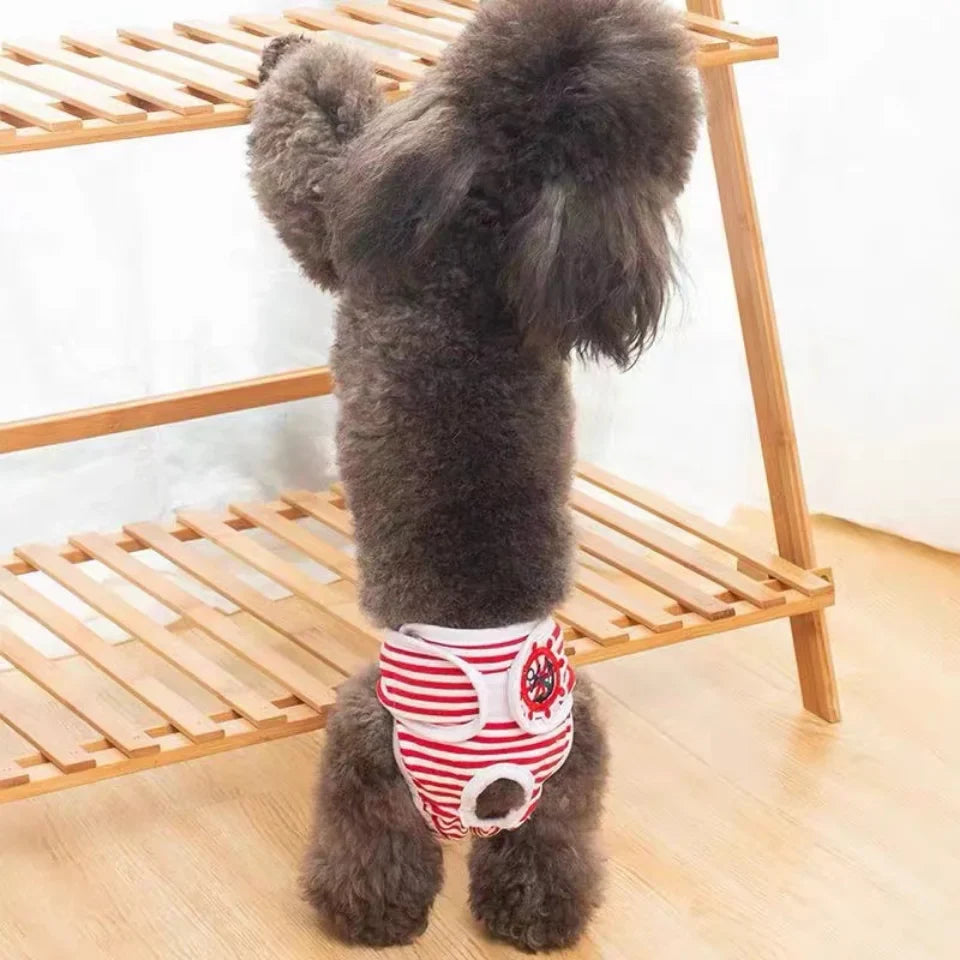 Culotte Menstruelle / Incontinence Chien
