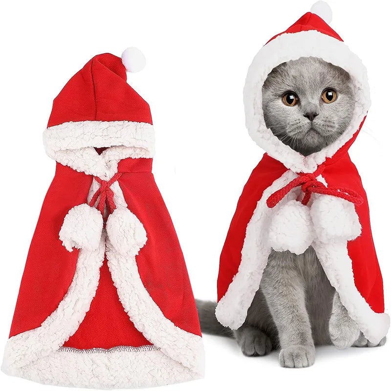Déguisement Noël Chat
